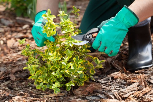 Essential gardening tools for garden maintenance