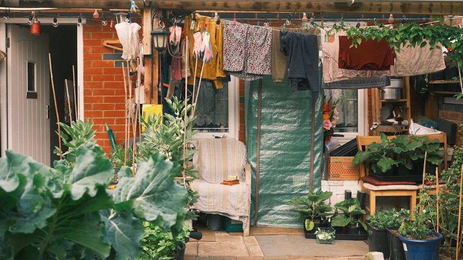 A view of a small terraced garden in Peckham during daylight, showcasing a mix of cultivated plants and domestic outdoor items. In the foreground, large leafy green plants and vegetable patches are vi